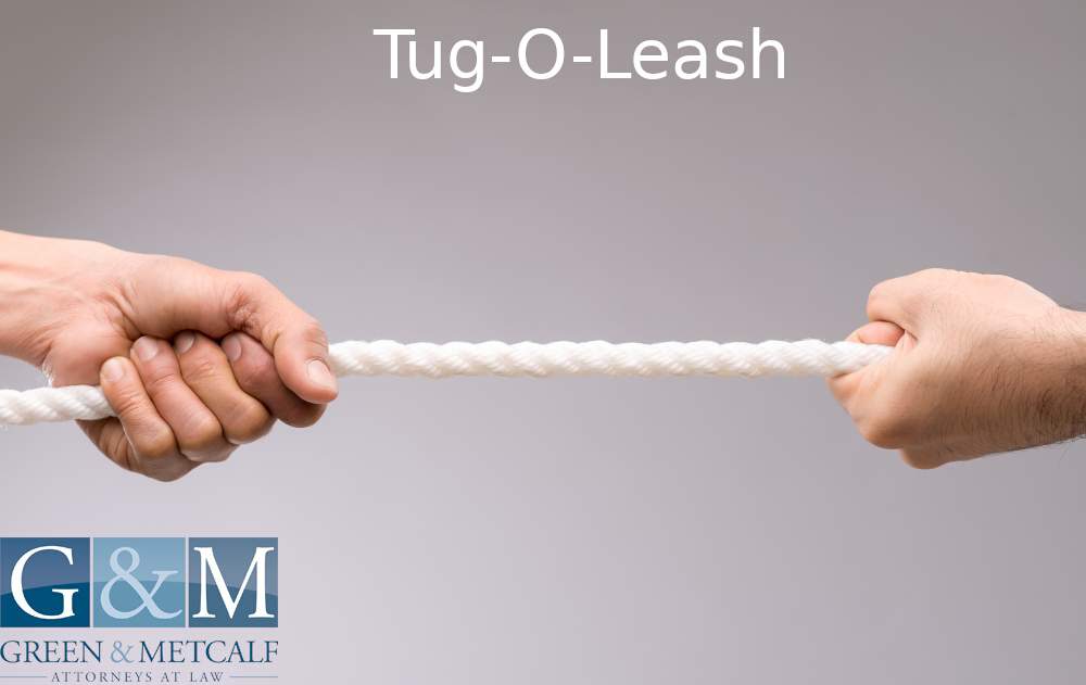 Tug-O-Leash